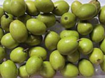 Olive Curry